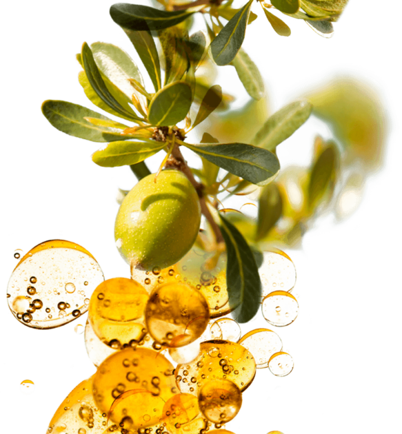 Concentrated skincare treatments