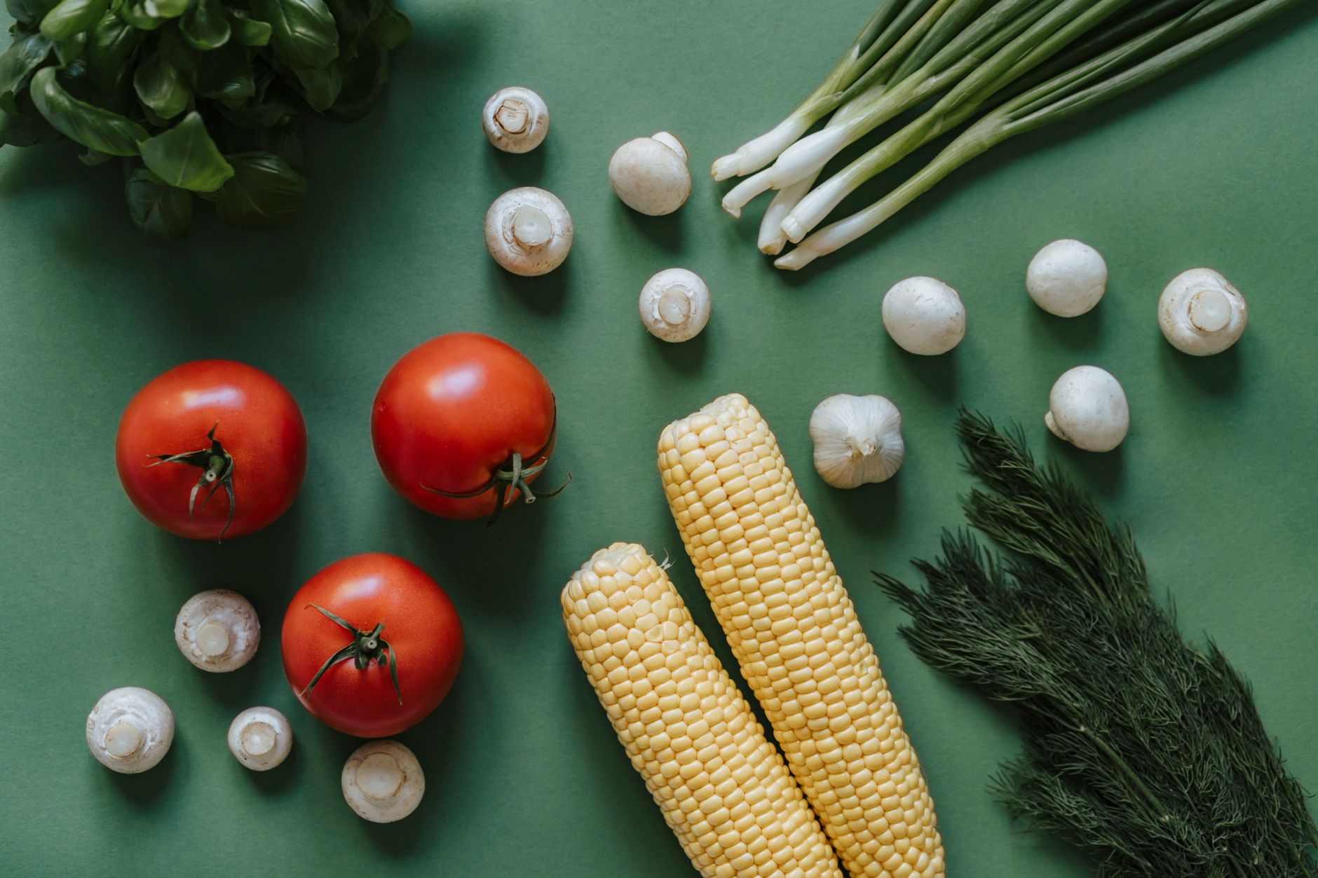 Pure organic plant nutrition ingredients